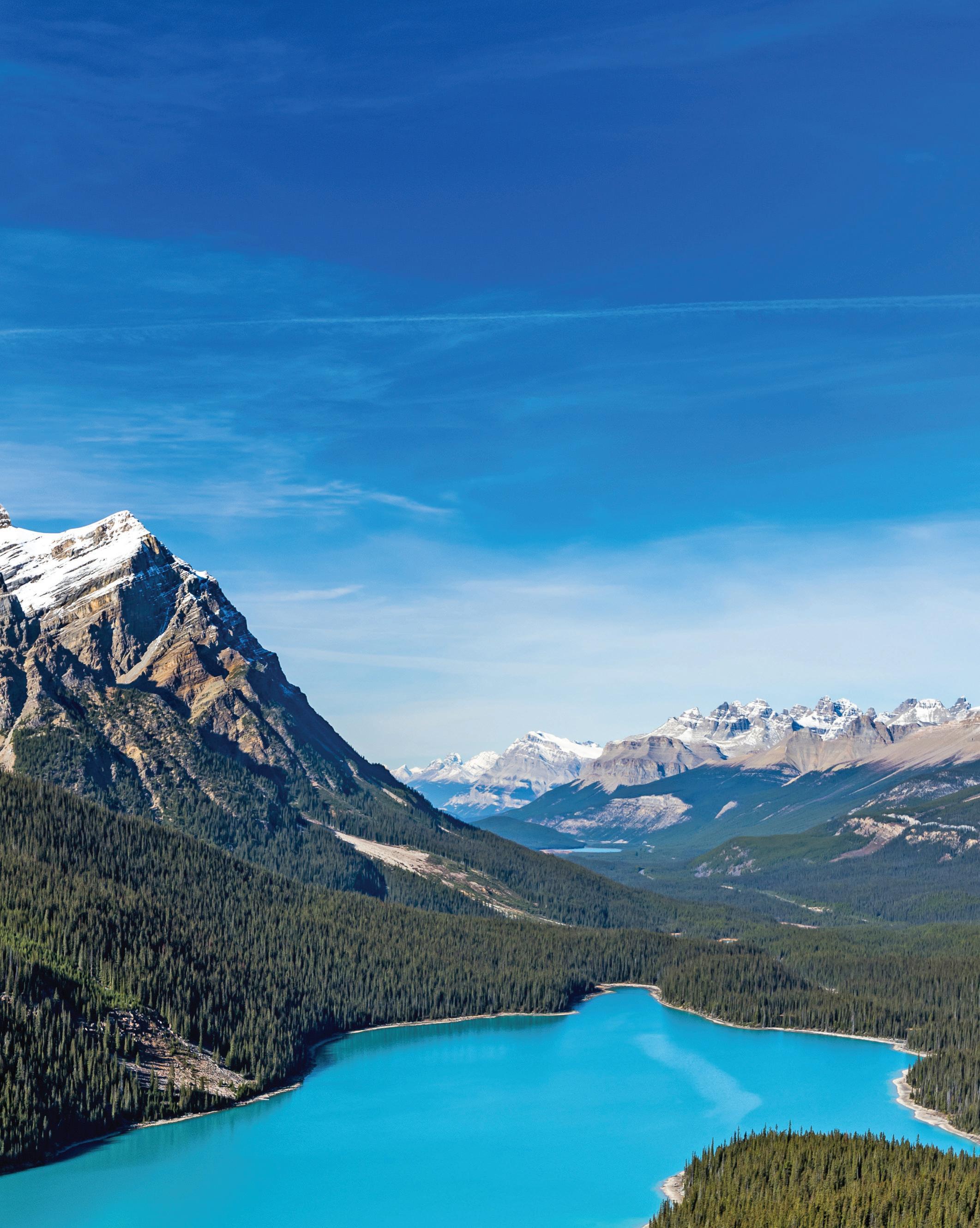 2025-2026 North America Brochure by Mayflower Cruises & Tours - Issuu