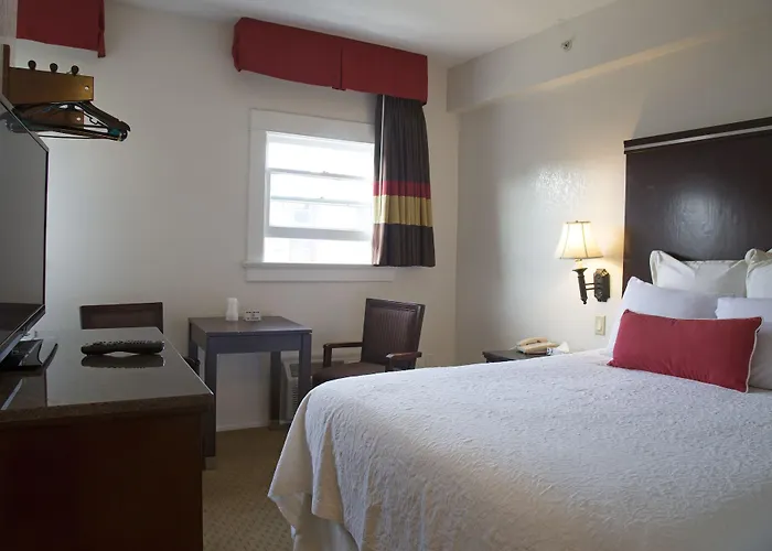 Top Little Italy Hotels for an Authentic San Diego Stay