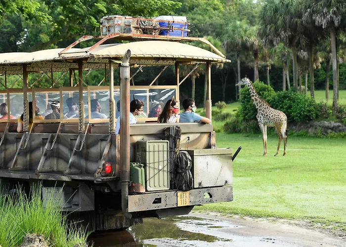 Top Hotels Near Lake Buena Vista