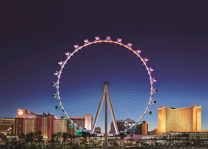 Best Hotels in Las Vegas That Allow Dogs