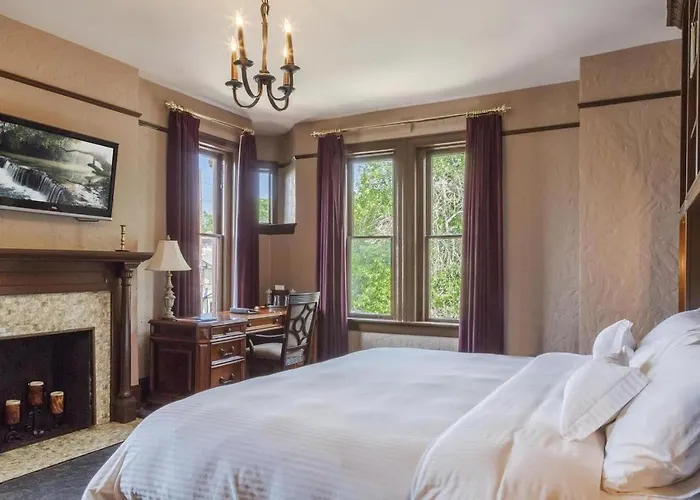 Best Pet-Friendly Hotels in Denver Colorado